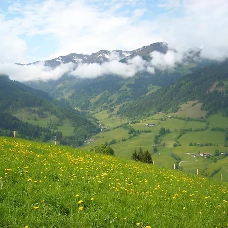 Haus Rieder Georg Apartment Maria Alm am Steinernen Meer Exterior photo