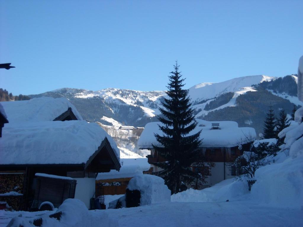 Haus Rieder Georg Apartment *
